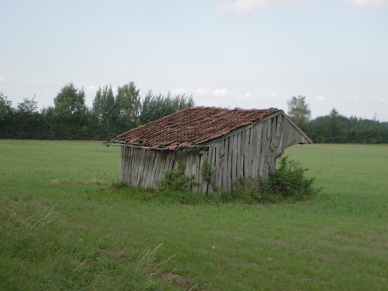 Ein Huschen im Grnen...