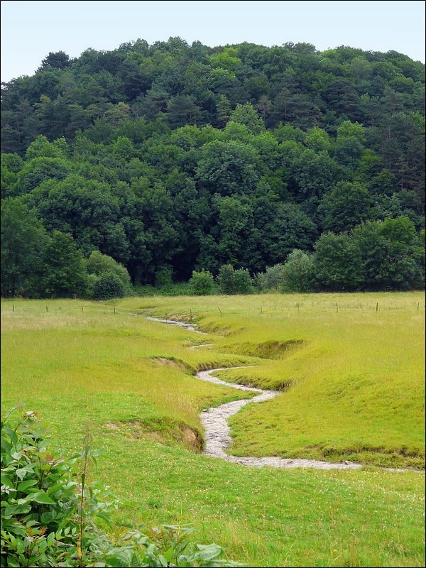 Ein kleiner Bach schlngelt sich durch die Landschaft bei Hamoir. 28.06.08 (Jeanny)