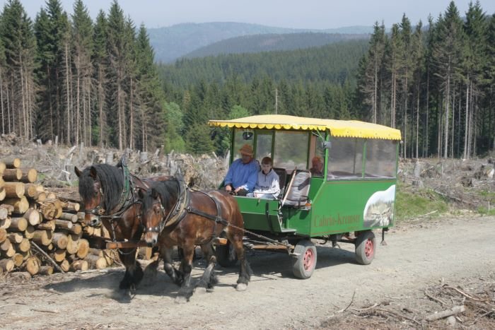 Ein Kremser unterwegs von Ilsenburg zum Scharfenstein; 13.05.2008