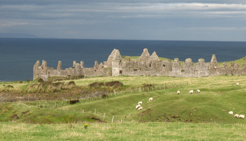 Ein malerischer Blick auf die Ruine des Dunluce Castle.
(September 2007)