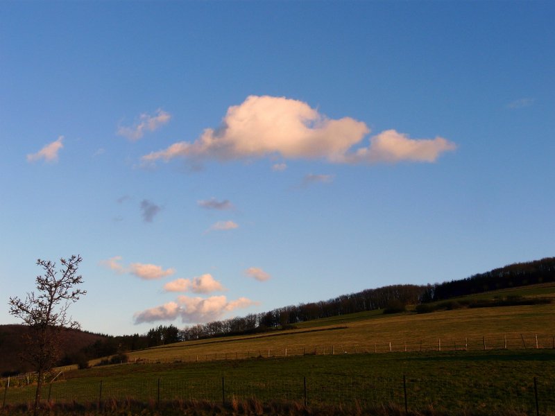 Ein paar harmlose Wolken tummeln sich am Himmel in Erpeldange/Wiltz (Luxemburg) am Montag, den 03.03.08 um 17.30 Uhr. 