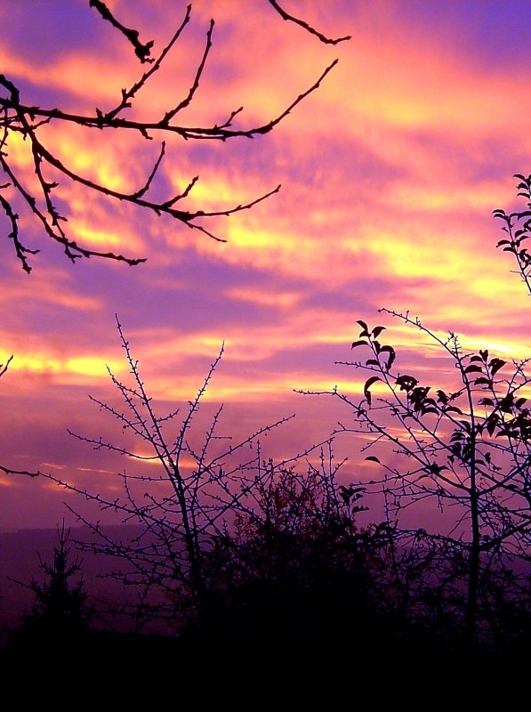 Ein par Minuten spter Sonnenaufgang am 03.11.2008 in Pfarrkirchen 