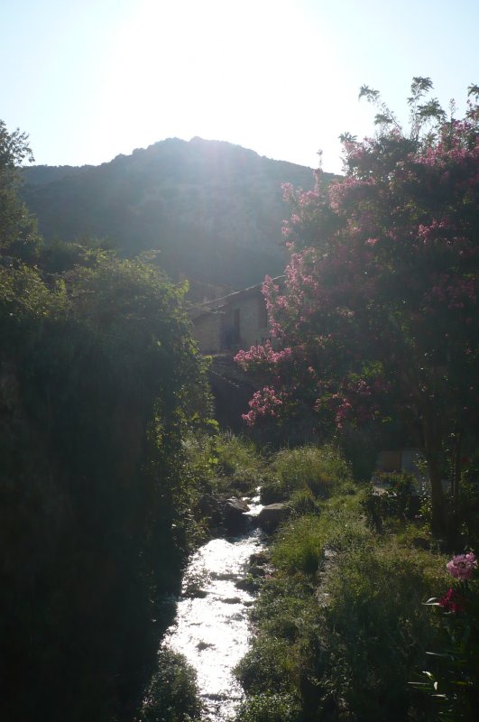 Ein sehenswerter Ort im Hrault: Die Commune de Saint-Guilhem-le-Dsert.
Auch die Umgebung bietet eine besondere Atmosphre!
(10.08.09)

