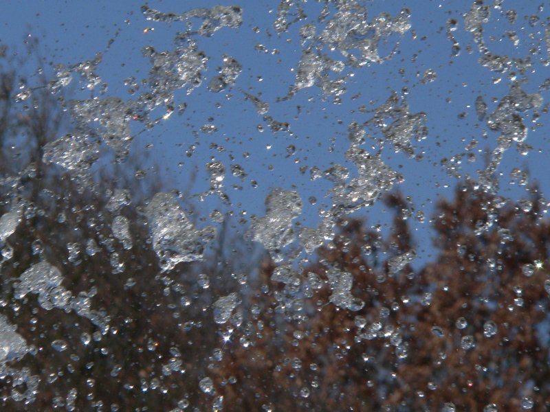 Ein Springbrunnen schleudert die Wassertropfen in die Luft. Es wird bald Frhling, die Bume im Hintergrund haben davon aber noch nichts mitbekommen. 7.4.2007