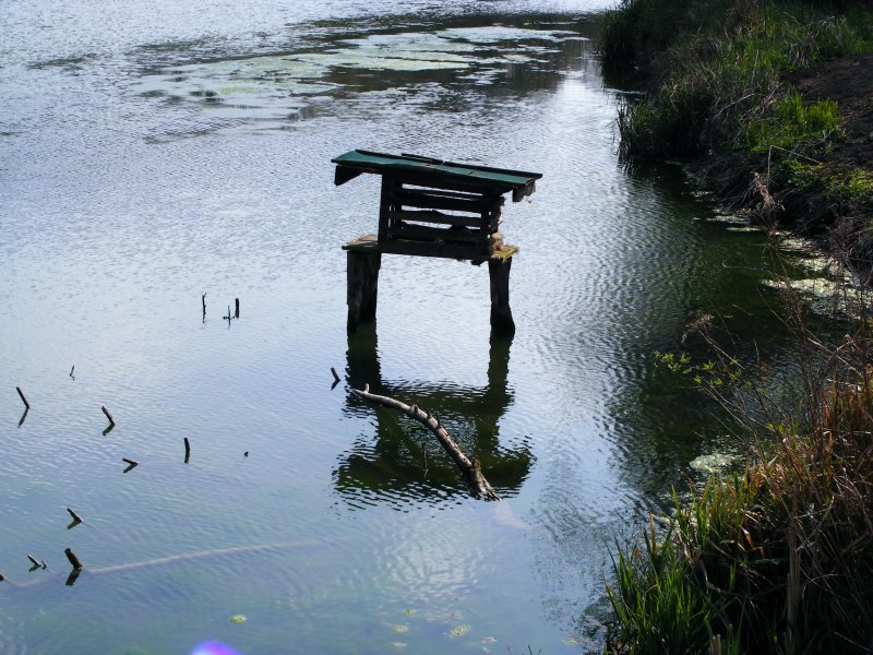 Ein Vogelhaus in einem Teich bei Herten-Westerholt am 20. April 2008.