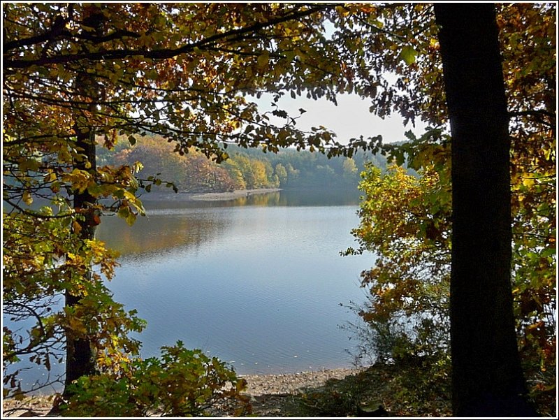 Ein Wanderweg fhrt durch den herbstlichen Wald rundum die Steinbachtalsperre. 11.10.08 (Jeanny)