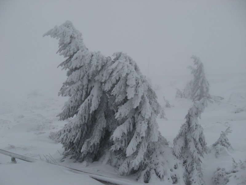 Ein WInterzauber auf dem Brocken am 2.2.2008