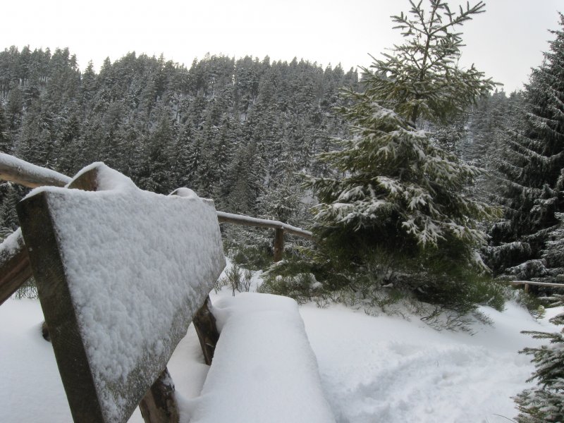 Ein WInterzauber auf dem Brocken, genauer kurz vorm Eggerloch am 2.2.2008