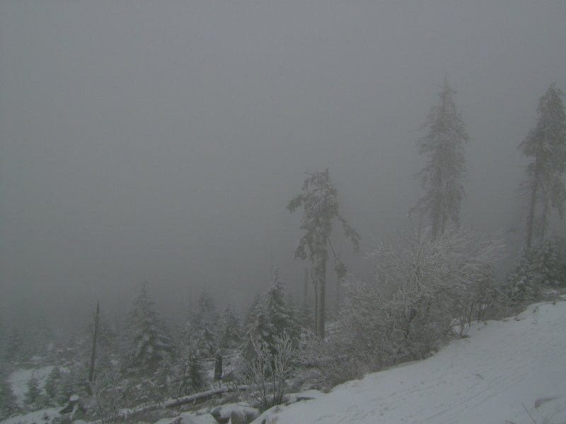 Ein WInterzauber auf dem Brocken am 2.2.2008