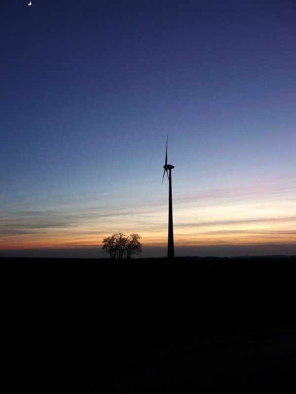 Eine eindrucksvolle Darstellung des Grenunterschiedes zwischen einem Windrad und einer Gruppe von Bumen. Das Foto wurde an 13.01.08 gegen 17.15 Uhr in der Nhe von Heiderscheid (Luxemburg) gemacht. Der Mond hat sich auch noch am oberen Bildrand links versteckt.