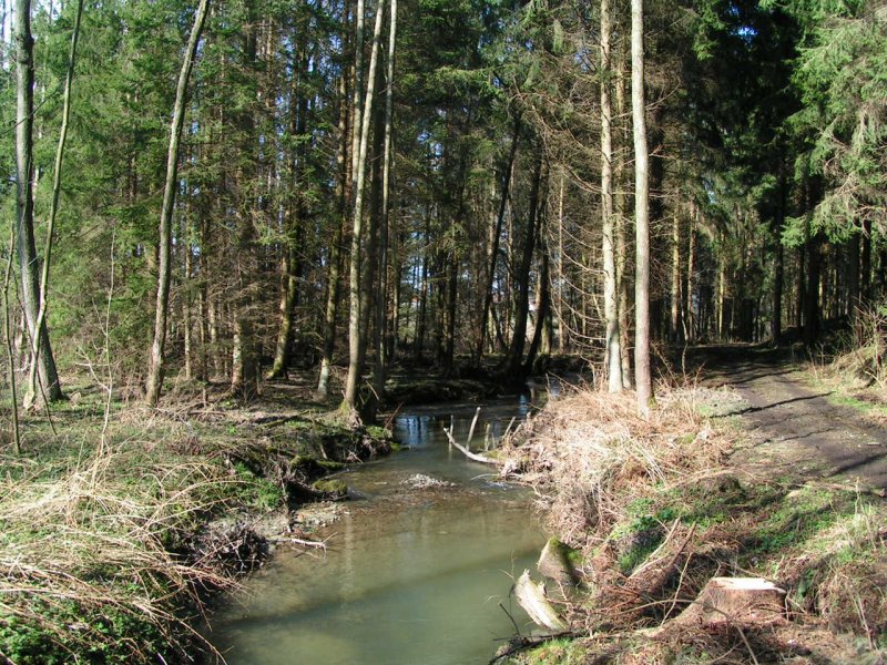 Eine fast unberhrte Naturkulisse ldt zum Sonntagsspaziergang. 070311