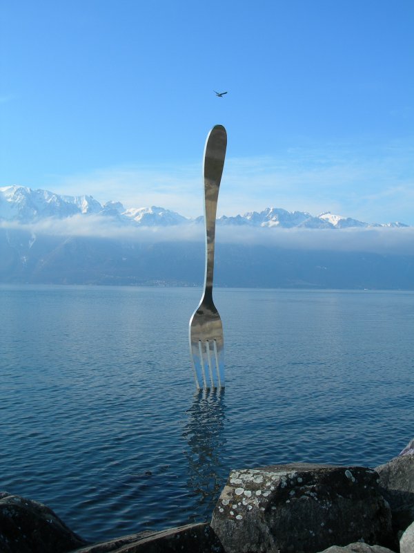 Eine Gabel im Genfersee. Einmalig!
(keine Fotomontage!!)