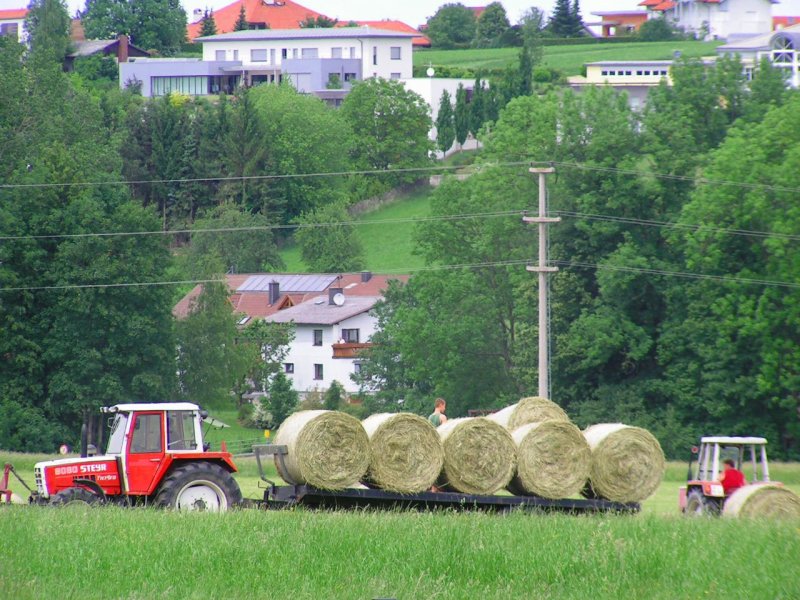 Eine satte grne Wiese, jedoch der Landwirt der Nebenparzelle ist emsig mit der  Heuernte (Rundballen) beschftigt, um diese noch vor dem herannahenden Gewitter einzubringen! 070527