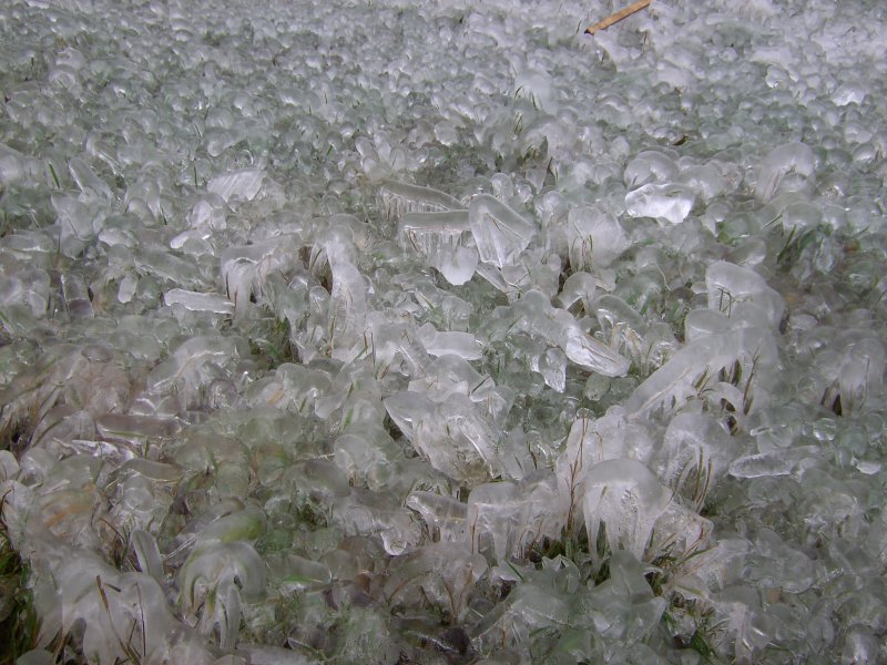 Eisbildungen, die an einem Holzlager durch die Bewaesserung bei Frost im Dezember 2007 entstanden sind.