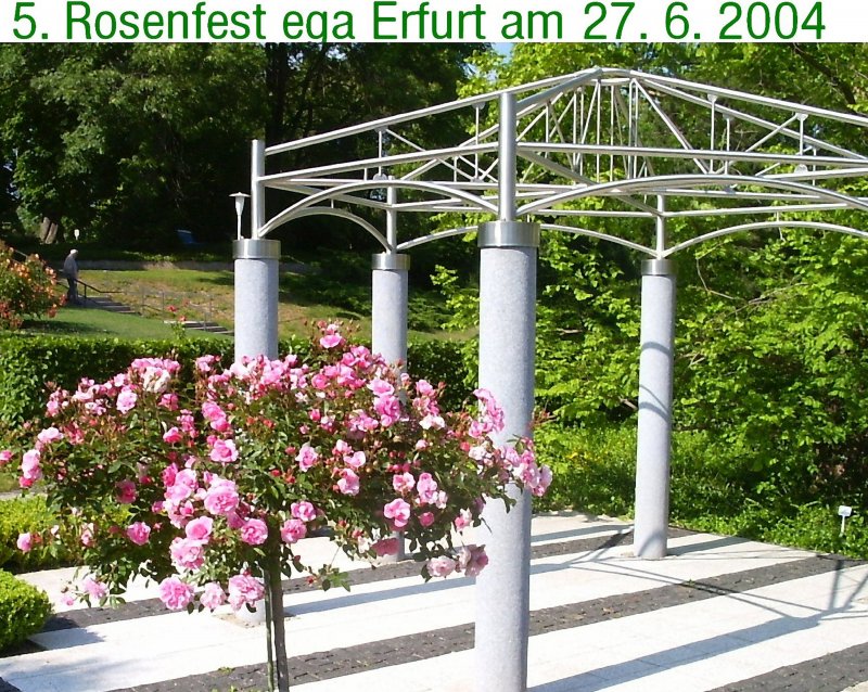 ERFURT ega zum Rosenfest 2004