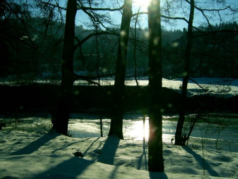 Erzgebirgische Winterlandschaft, Zschopautal bei Wiesenbad, 28.01.06