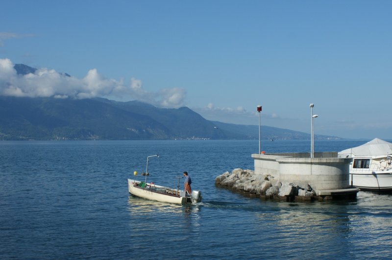 Es gibt sie noch: Berufsfischer auf dem Genfersee
(August 2008)