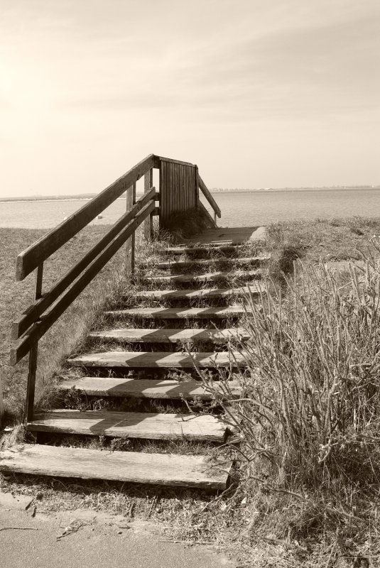 Fehmarn - Westerberg - Licht und Schatten einer Holztreppe ber den Deich als schwarzweisses Stillleben.