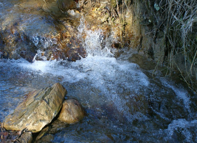 Fliessendes Bachwasser mit kurzer Belichtungszeit aufgenommen.
(Mrz 2009)  