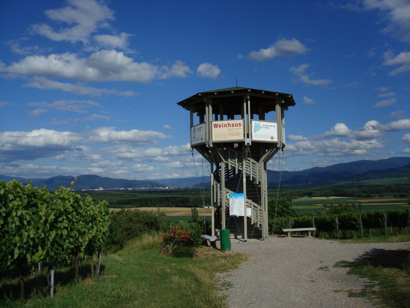 Freiburg-Opfingen Aussichtsturm in den Weinreben des Tuniberges mit Blick auf Freiburg und den Schwarzwald  Juli 2008