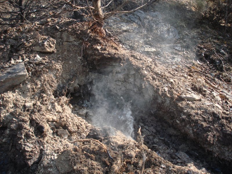 Fnf Tage nach Beginn des Waldbrandes bei Arbaz, am 19.04.2007 waren unter der Erde immer noch Glutnester zu finden.