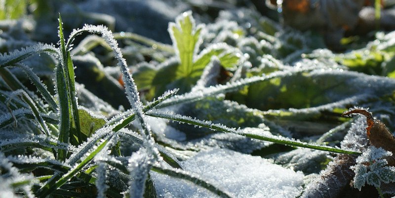 Gevatter Frost ist schon da,dann ist der Winter nicht mehr weit...
(Oktober 2009)