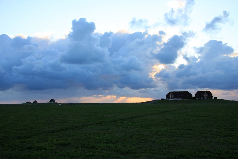 Hallig Nordstrandischmoor - 14.06.2008 - Pnktlich am Abend kommen wieder die Wolken, die Abendstimmung mit allen 4 Warften war trotzdem ein Foto wert. 