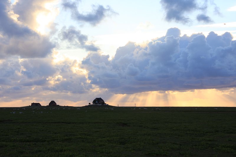 Hallig Nordstrandischmoor - 14.06.2008 - Die letzten Wattwanderer haben die Hallig verlassen, man geniet die Ruhe und die, nur durch die Warften eingeschrnkte, weite Sicht bei schner Abendstimmung.