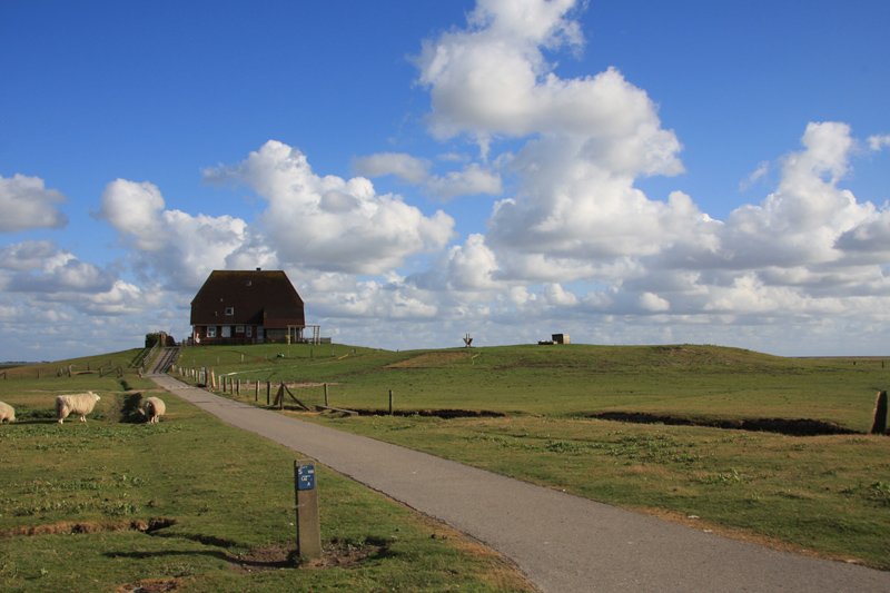 Hallig Nordstrandischmoor - 14.06.2008 - Die Warft Halberweg ist Dienstwohnung des ALR (Amt fr lndliche Rume) Husum, dieses Amt ist auch fr die Manahmen des Kstenschutz zustndig. Rechts davor eine unbebaute Warft.