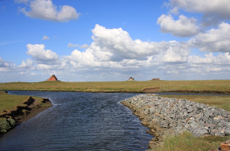 Hallig Nordstrandischmoor - 14.06.2008 - Blick ber den Priel bei der Norderwarft nach Osten mit Warft Halberweg, Amalienwarft und Neuwarft.