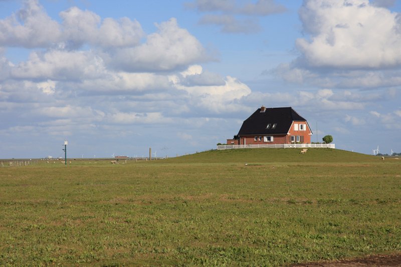 Hallig Nordstrandischmoor - 14.06.2008 - Blick von der Halligkante im Norden zur Amalienwarft mit Sturmflutpfahl und Pegel (links), die  Windmhlen  und Gebude im Hintergrund gehren zur Insel Nordstrand.