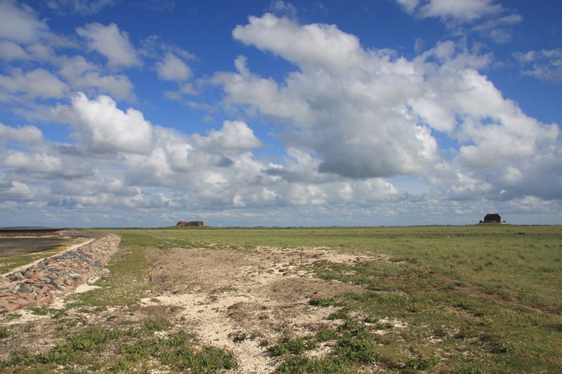 Hallig Nordstrandischmoor - 14.06.2008 - Blick von der Halligkante ber das flache Land mit Neuwarft und Amalienwarft. Der Steinwall wurde erst in den letzten Jahren angelegt um Landverluste, durch ablaufendes Wasser nach berflutungen, zu verhindern.