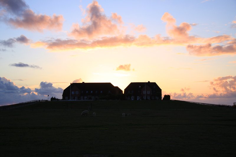 Hallig Nordstrandischmoor - 16.06.2008 - Sonnenuntergang mit Neuwarft.