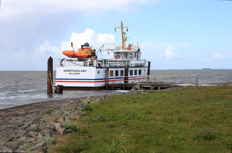 Hallig Nordstrandischmoor - 16.06.2008 - Die  Nordfriesland  wartet am Anleger auf die Rckkehr der Fahrgste, diese nutzen ihren anderthalbstndigen Aufenthalt um die Hallig zu erkunden und/oder um im Hallig-Krog einzukehren.