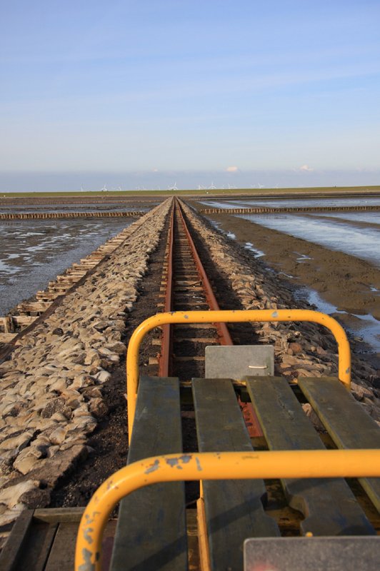 Hallig Nordstrandischmoor - 17.06.2008 - Als Verbindung zwischen Festland und Hallig dient eine Lorenbahn, diese durchquert das Watt auf einem Damm (mehr dazu unter Bahnbilder.de - D/Halligbahnen, sobald diese Karegorie freigeschaltet ist). Hier der Blick zurck, zum Deich am Lttmoorsiel.