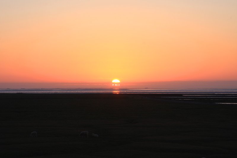 Hallig Nordstrandischmoor - 19.06.2008 - Sonnenuntergang, Blick von der Neuwarft, am Horizont die Warften der Hallig Langeness.