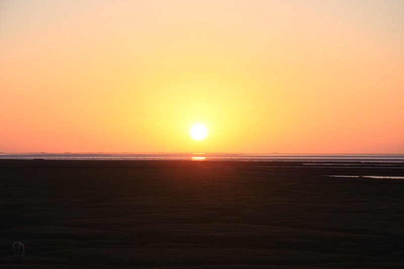 Hallig Nordstrandischmoor - 19.06.2008 - Ein Tag endet mit einem herrlichen Sonnenuntergang, Blick von der Neuwarft, am Horizont die Warften der Hallig Langeness.