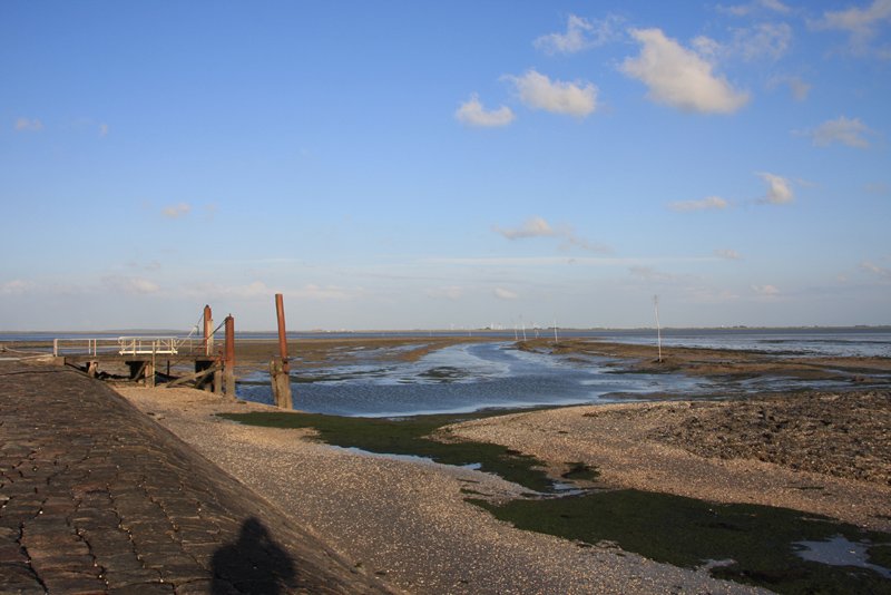 Hallig Nordstrandischmoor - 19.06.2008 - Niedrigwasser am Schiffsanleger, whrend das letzte Wasser aus dem Becken abluft, kann man sich kaum vorstellen, da in dieser Kuhle Platz fr 2 Schiffe sein soll.