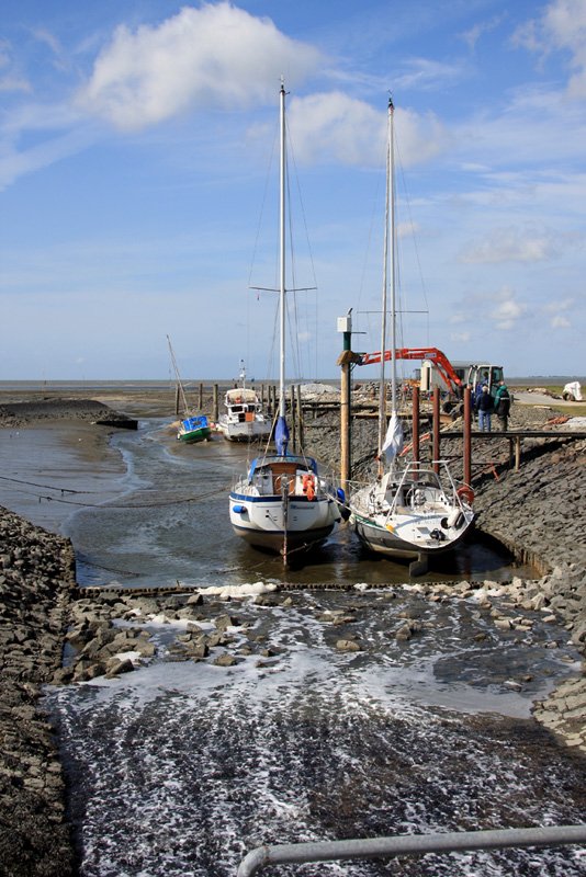 Hallig Nordstrandischmoor - 20.06.2008 - Der Segelhafen bei Niedrigwasser, wre nicht das Wasser eines Priels, wrde er komplett trocken liegen. Die Ebbe nutzen auch die Arbeiter des ALR, um neue Buhnen einzurammen.