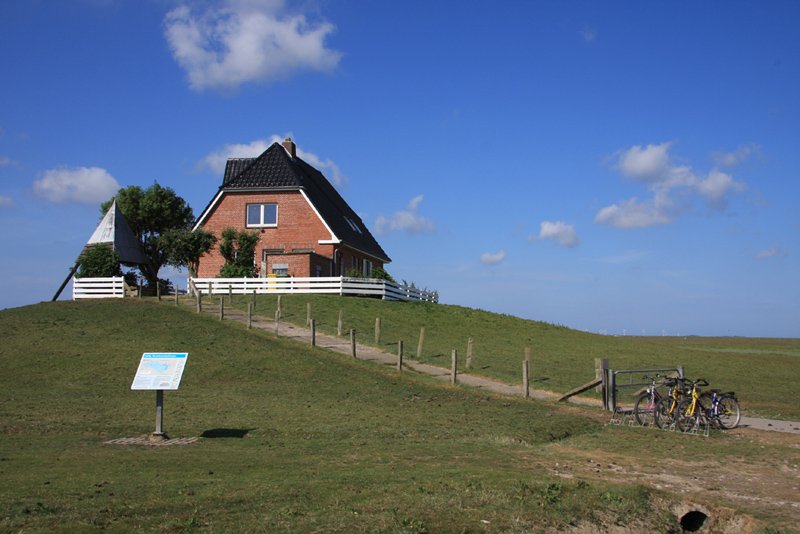 Hallig Nordstrandischmoor - 20.06.2008 - Nochmals die Amlienwarft, es ist Unterrichtszeit und alle 3 Schler sind anwesend (siehe Fahrradstnder). 