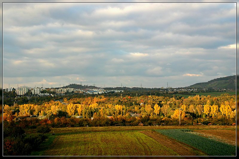 Herbst im Ballungsraum Stuttgart - 

Das Remstal bei Waiblingen im Sonnenlicht. 

20.10.2007 (M)