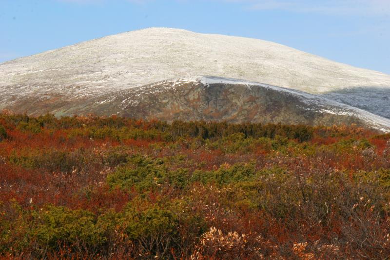 Herbst im Dovrefjell; 02.10.2009