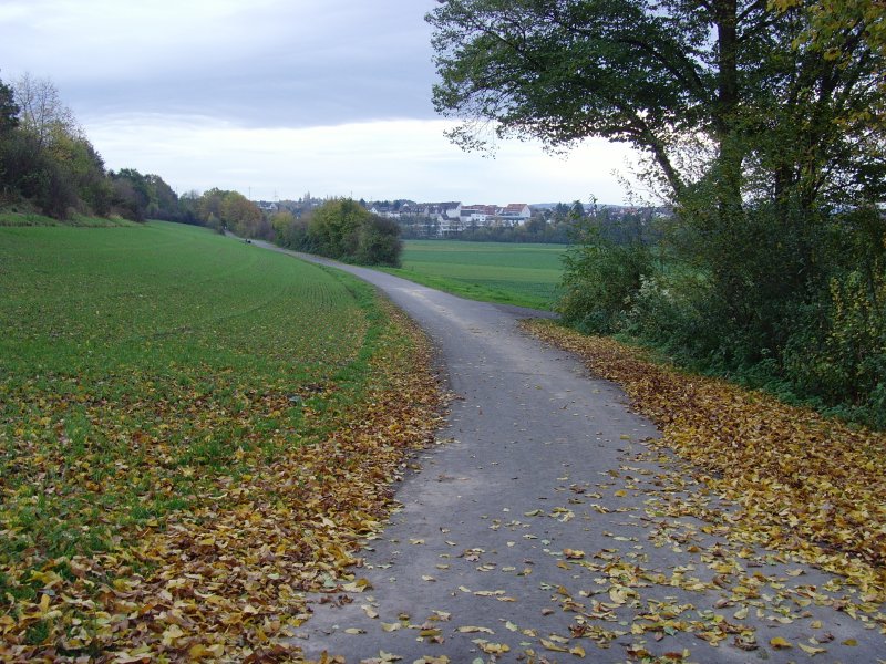Herbstlandschaft bei kassel, Oktober 2008