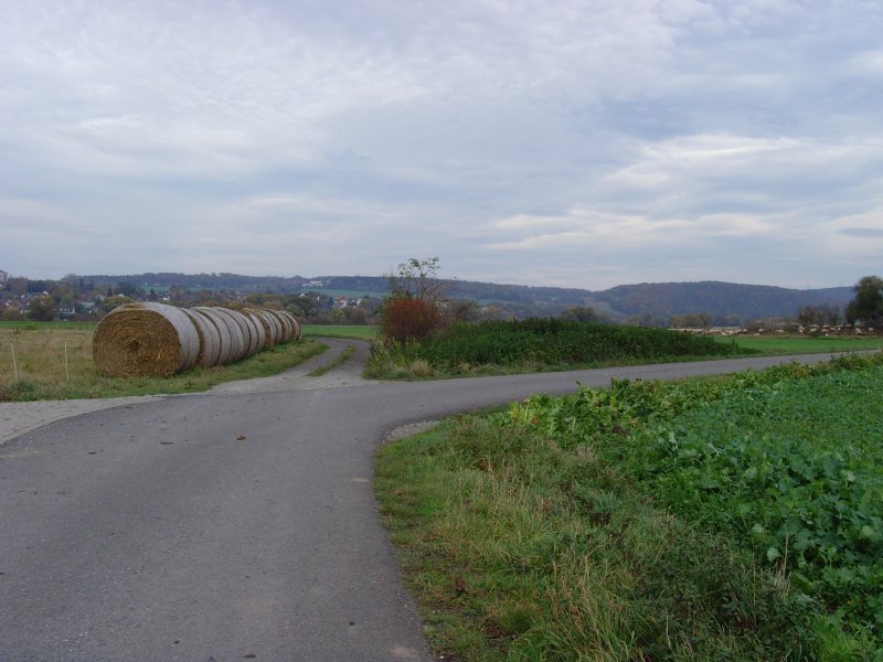 Herbstlandschaft bei Kassel, Oktober 2008