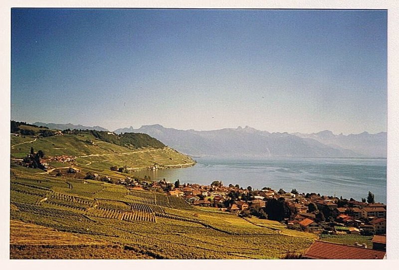 Herbstliche Ausblicke von Grandvaux ber das Lavaux und den Genfersee.
(gescanntes Foto, September 2004)