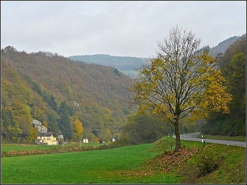 Herbstliche Landschaft mit einzelnem Baum am Straßenrand fotografiert am 26.10.08 in der Nähe von Michelau. (Jeanny)
