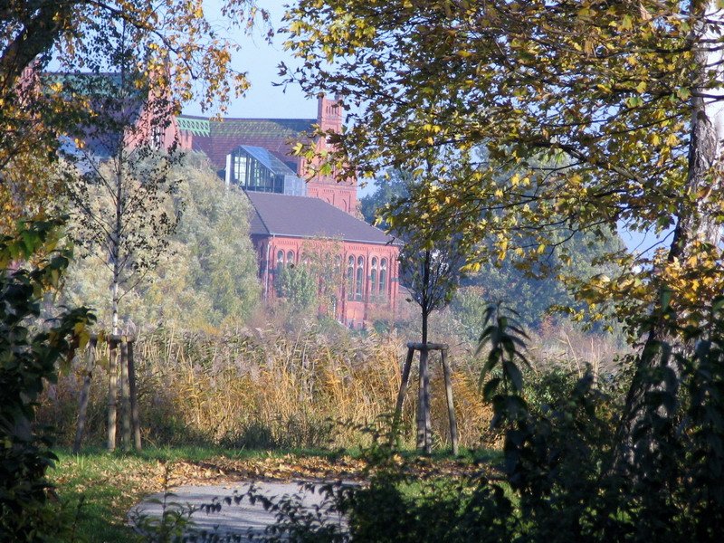 Herbstspatziergang im Hintergrund die Gerhard Hauptmann Schule sie ist fr mich vom Bauwerk her die schnste der Schulen in Stralsund.Gerhart Hauptmann wurde am 15.11.1862 im Nordschlesischen Obersalzbrunn geboren und starb 1946.