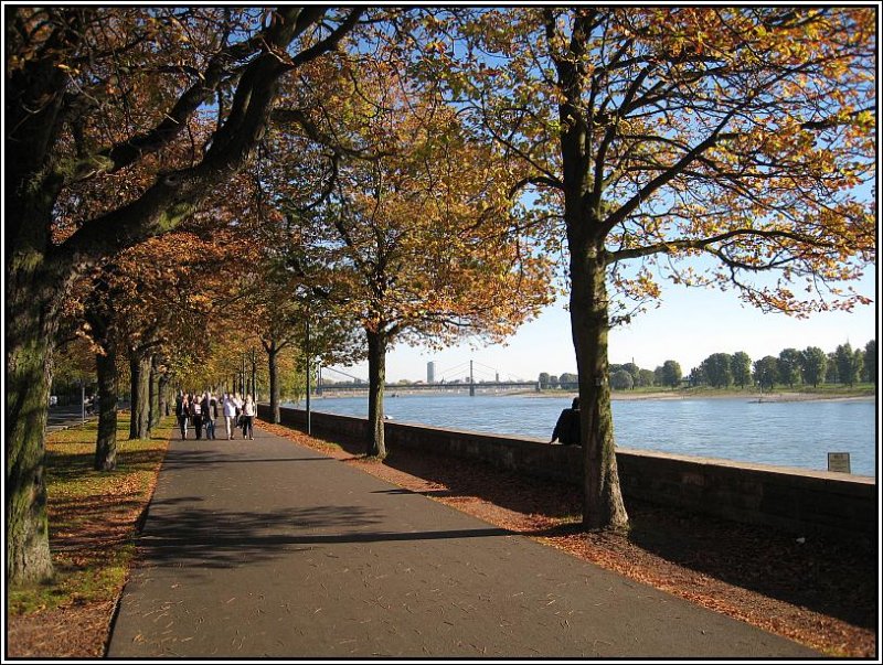 Herbstspaziergang am Rhein in Dsseldorf, Oktober 2007.