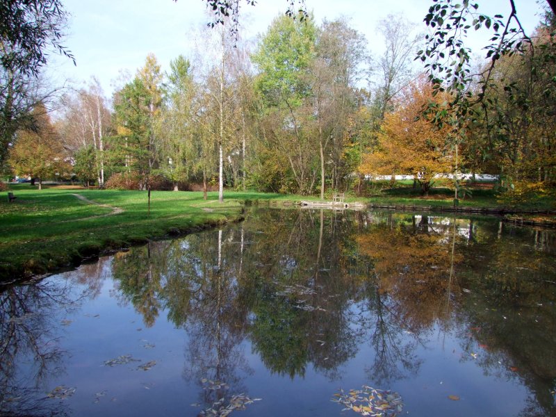  Herbstspiegelung  im Teich; 081019