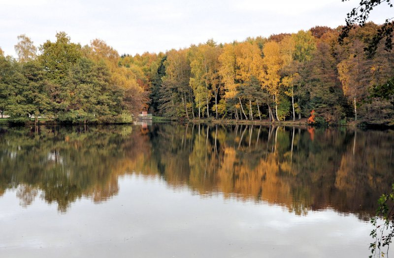 Herbstwaldspiegelung im See an der Steinbachtalsperre - 27.10.2009